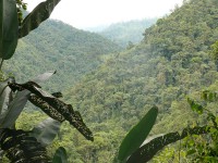 /album/hacienda-esperanza/finca-2-jpg/